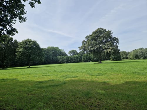 Nette-Seen (Premiumwanderweg)
