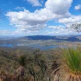 Wyaralong Dam Loop, Queensland, Australia - 103 Reviews, Map | AllTrails