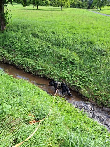 Rottenberg – Feldkahl: Zwei Burgen und der Bloopiffer