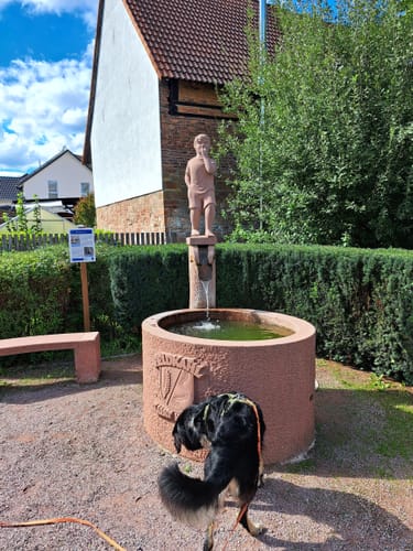 Rottenberg – Feldkahl: Zwei Burgen und der Bloopiffer