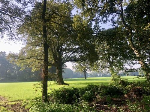 Lonneker Rode Wandelroute