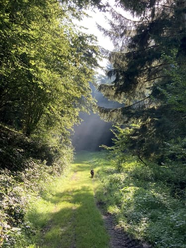 HeimatSpur Weiherbachtal