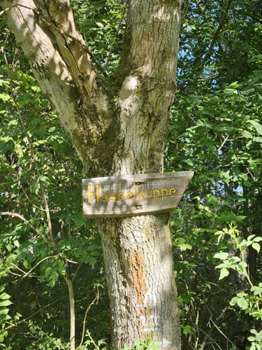 Heiligenberg P8 (Premiumwanderweg)