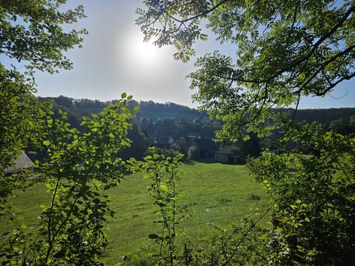 Heiligenberg P8 (Premiumwanderweg)