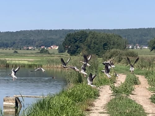 Runde bei Haid