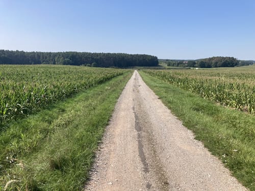 Runde bei Haid