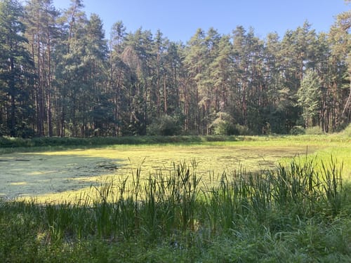 Runde bei Haid