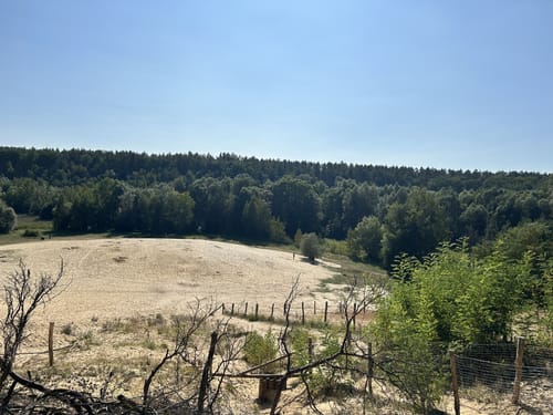 Hüttenweg Runde im Grunewald