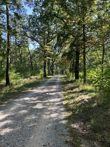 Hüttenweg Runde im Grunewald