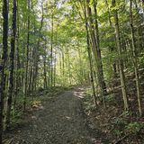 Deerfield Wilderness Loop, New York - 261 Reviews, Map | AllTrails