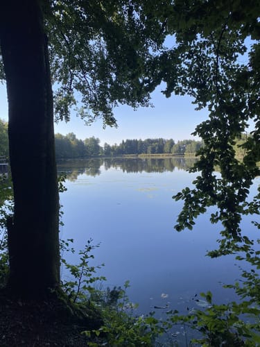 5-Seen-Wanderung um das Rotmoos