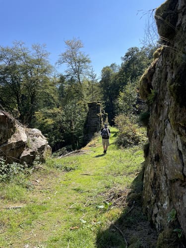 Rockenburger Urwaldpfad (Traumschleife)