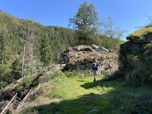 Rockenburger Urwaldpfad (Traumschleife)