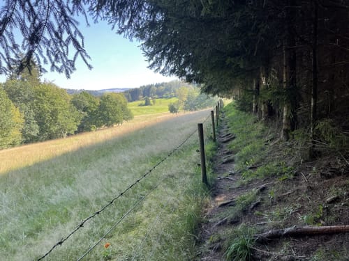 Rockenburger Urwaldpfad (Traumschleife)