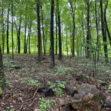 Brundage Park Loop, New Jersey - 148 Reviews, Map | AllTrails