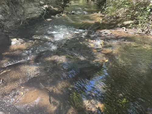 2023 Best Walking Trails in Rocklin | AllTrails