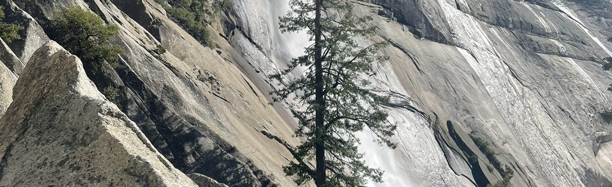 Diving Board 85 Reviews, Map California AllTrails