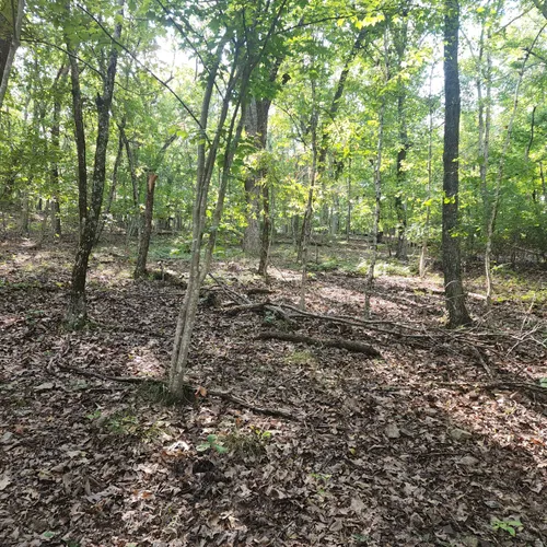 2023 Best Wildlife Trails in Spring Garden AllTrails