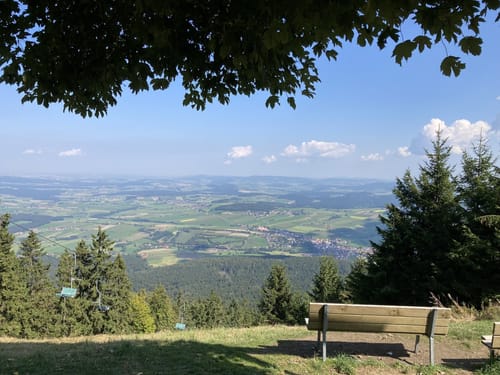Durch den Kloster-Rotter-Wald