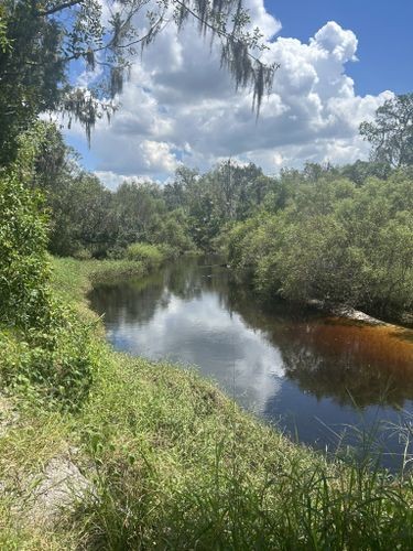 10 Best Hikes and Trails in Myakka River State Park | AllTrails