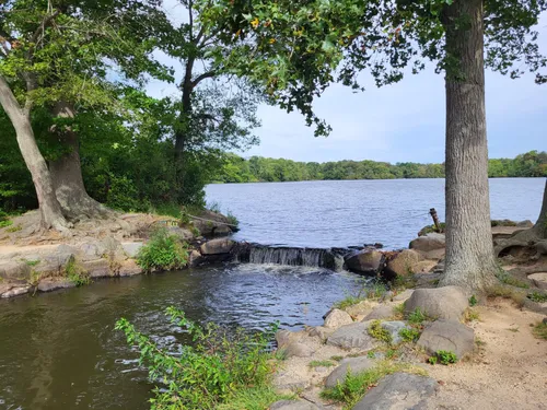 2023 Best Forest Trails in North Babylon | AllTrails