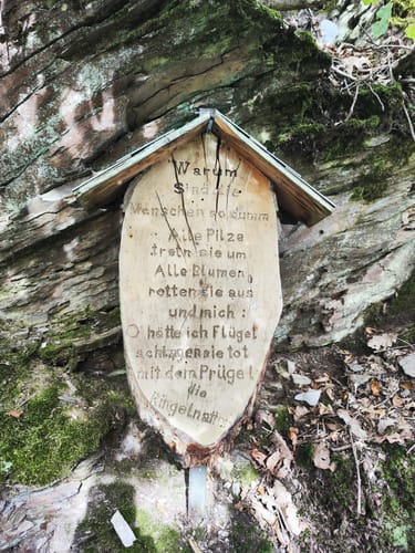 Pyrmonter Felsensteig (Traumpfad)