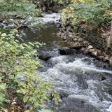 Minnehaha Creek Trail, Minnesota - 1,184 Reviews, Map | AllTrails