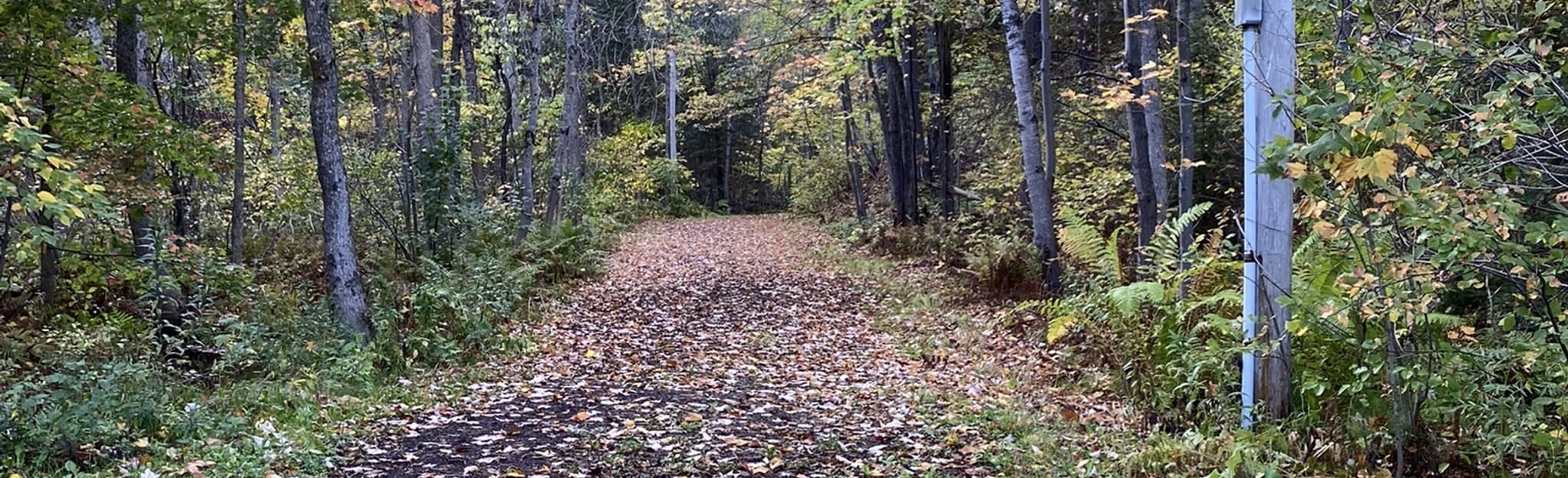 Pine Valley Trail, Minnesota 37 Reviews, Map AllTrails