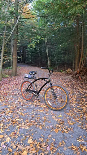 2023 Best Forest Trails in Saint Marys AllTrails