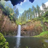 Abiqua Falls Trail, Oregon - 1,870 Reviews, Map | AllTrails