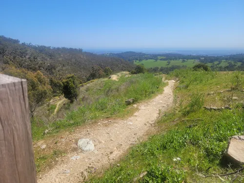 Eagle on the online hill mountain bike park