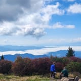 Forney Ridge Trail, North Carolina - 94 Reviews, Map | AllTrails