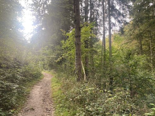 Almglück (Traumschleife)