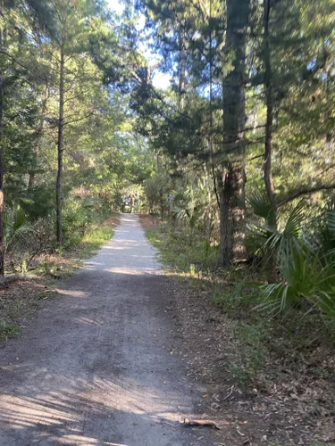 2023 Best Forest Trails In Edisto Island Alltrails