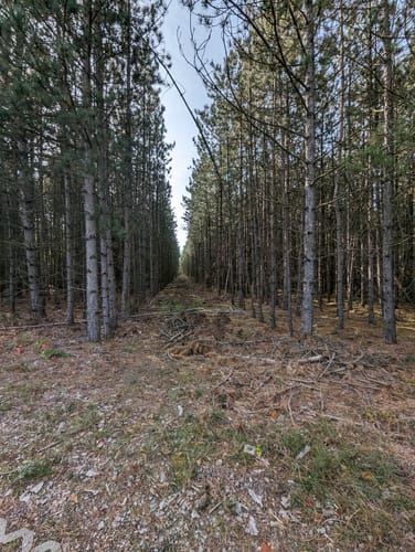 Holzweißiger Ostsee and Paupitzscher See Rundweg