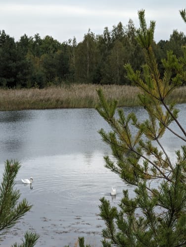 Holzweißiger Ostsee and Paupitzscher See Rundweg