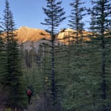 Tent Ridge Horseshoe, Alberta, Canada - 4,214 Reviews, Map | AllTrails