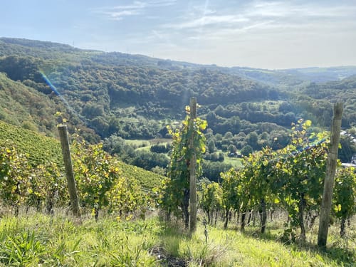 Sommerauer Schlossberg
