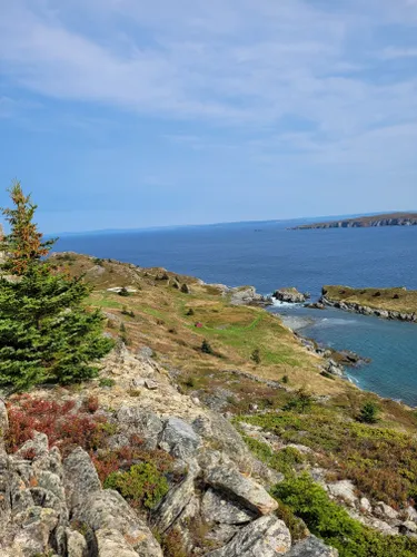 Best Beach Trails in Bay Roberts | AllTrails