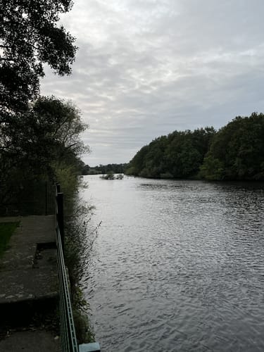 Naturschutzgebiet Borkener Paradies