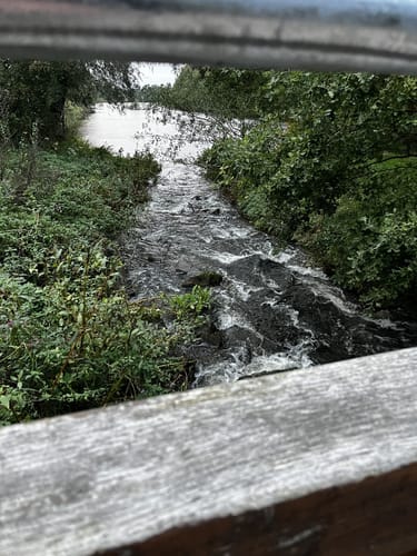Naturschutzgebiet Borkener Paradies