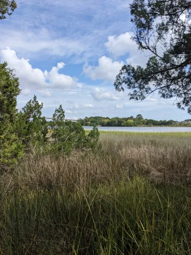 2023 Best Wildlife Trails In Johns Island 