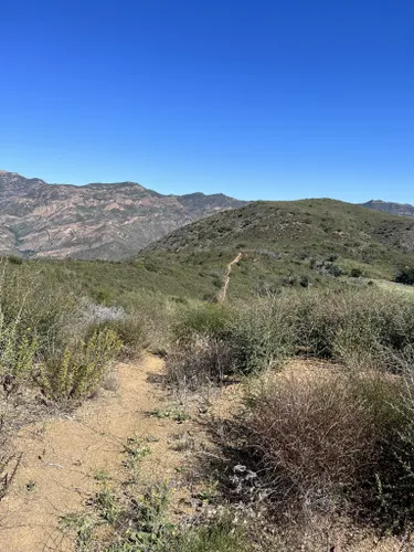 Best Hikes and Trails in Leo Carrillo State Park | AllTrails