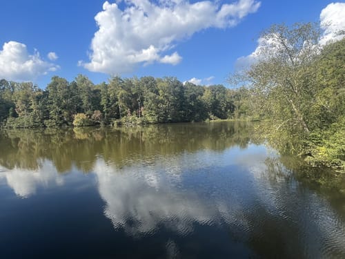 Lake norman state park mountain bike trails sale
