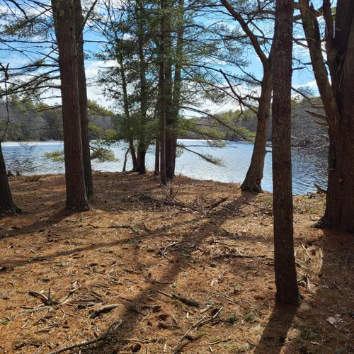 2023 Best Bird Watching Trails in Phippsburg AllTrails