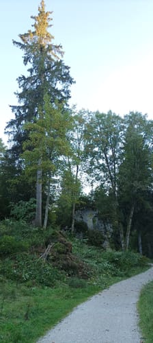 Wentalrundweg Bibersohl
