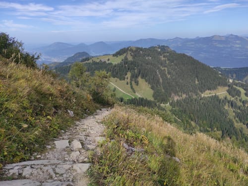 Enzianhütte - Purtschellerhaus