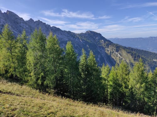 Enzianhütte - Purtschellerhaus