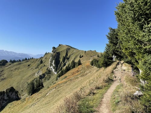 Rund um die Benediktenwand ab Lenggries