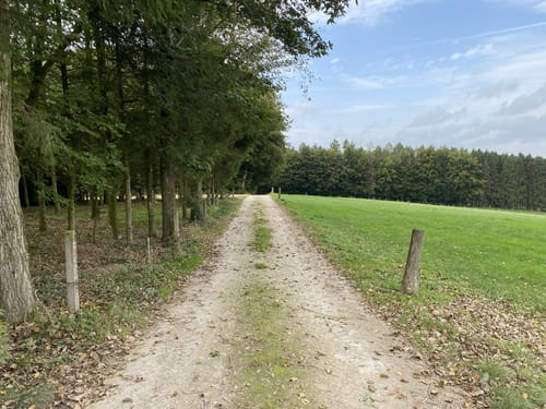 Kronensee und NSG Beutling ab Wanderparkplatz Noller Schlucht